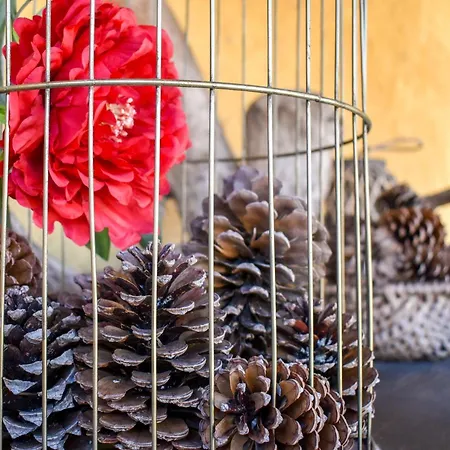 Colmeal Country house Mira (Coimbra)