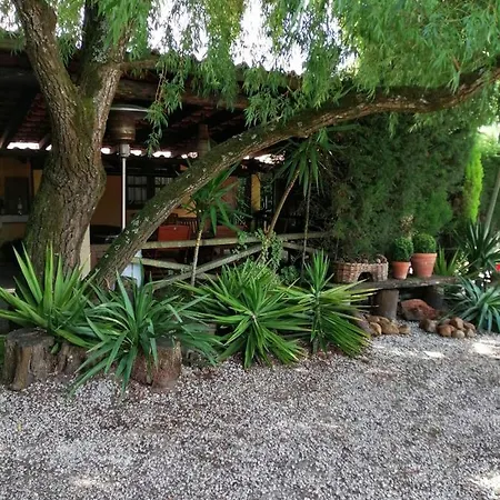 Country house Colmeal Mira (Coimbra)