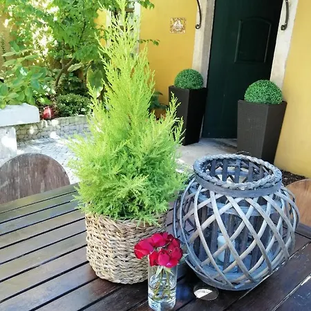 Country house Colmeal *