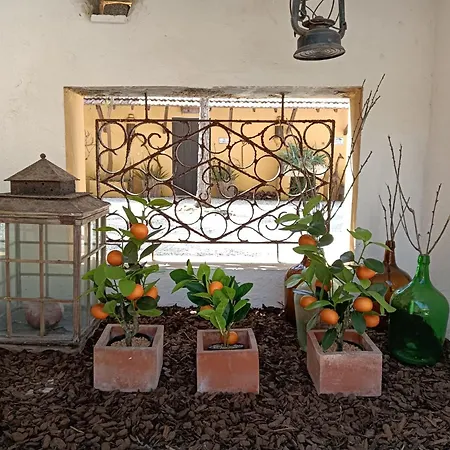 Casa rural Colmeal