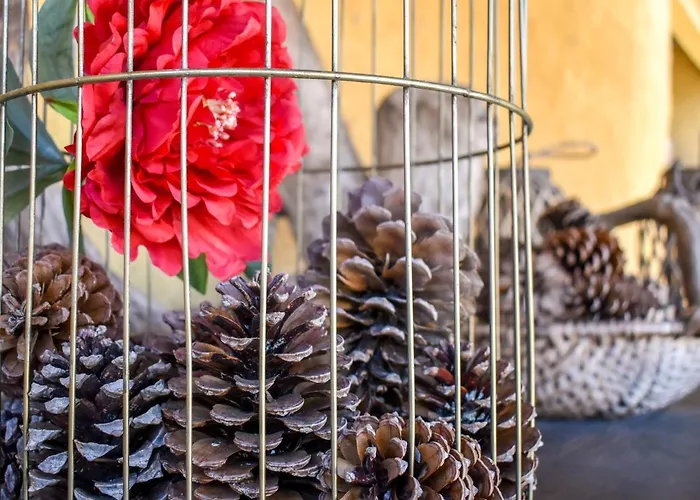 Colmeal Gospodarstwo wiejskie Mira (Coimbra)