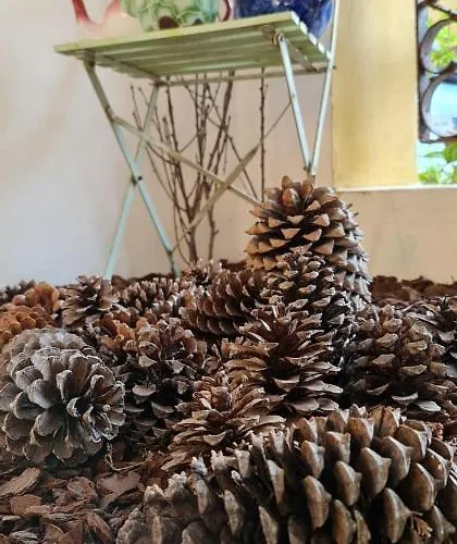 Colmeal * Mira (Coimbra)