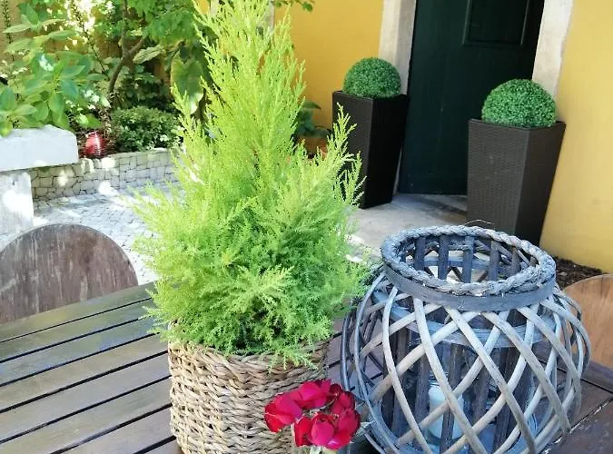 Country house Colmeal *