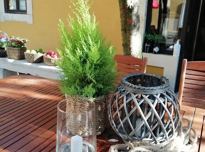 Gospodarstwo wiejskie Colmeal *