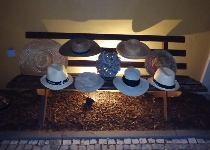 Gospodarstwo wiejskie Colmeal *