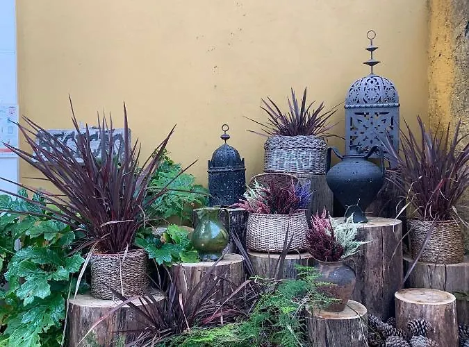 Colmeal Gospodarstwo wiejskie *